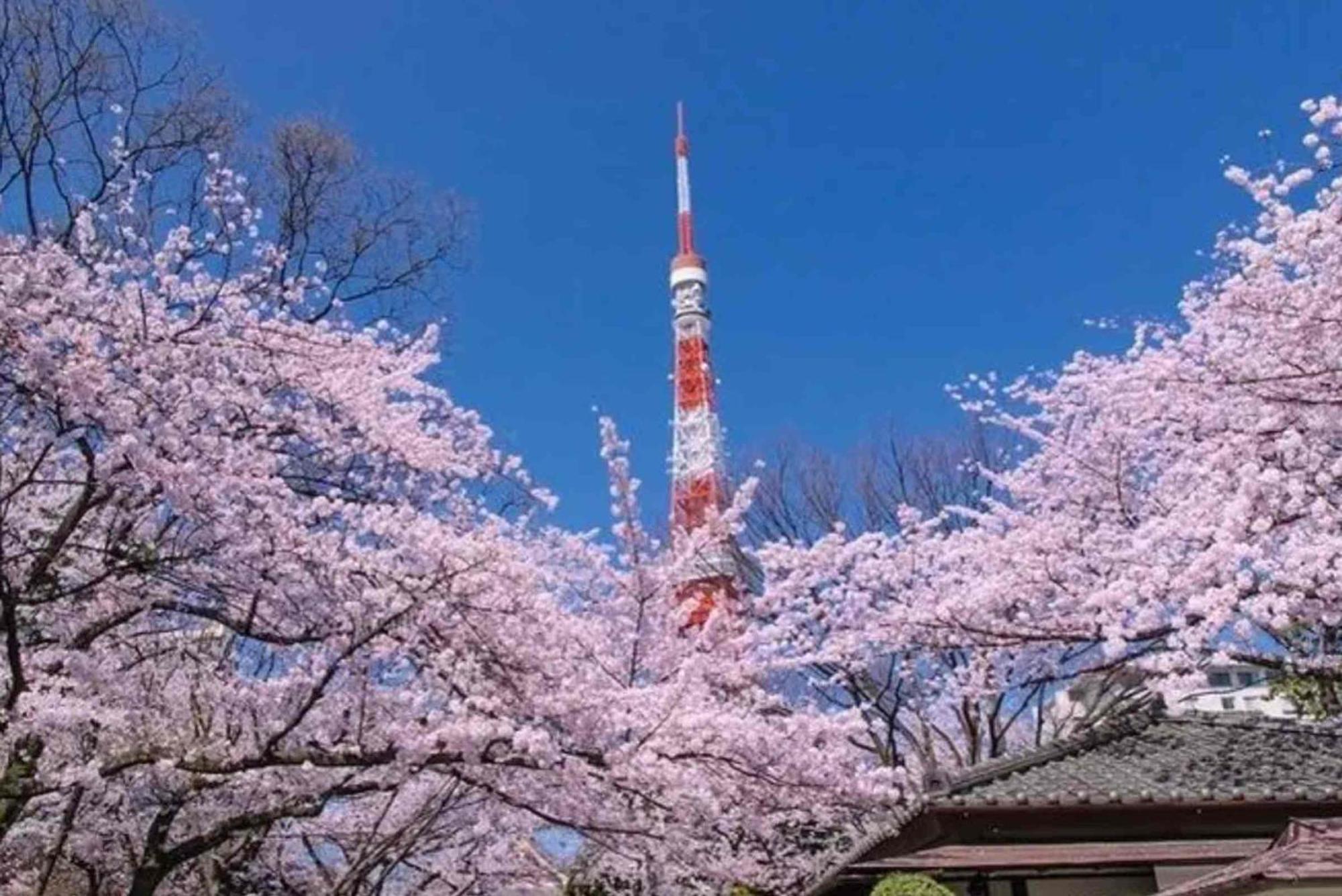 Five Room 120 Sky Tree Sensoji Freeparking 1292Sqft 東京都 外观 照片